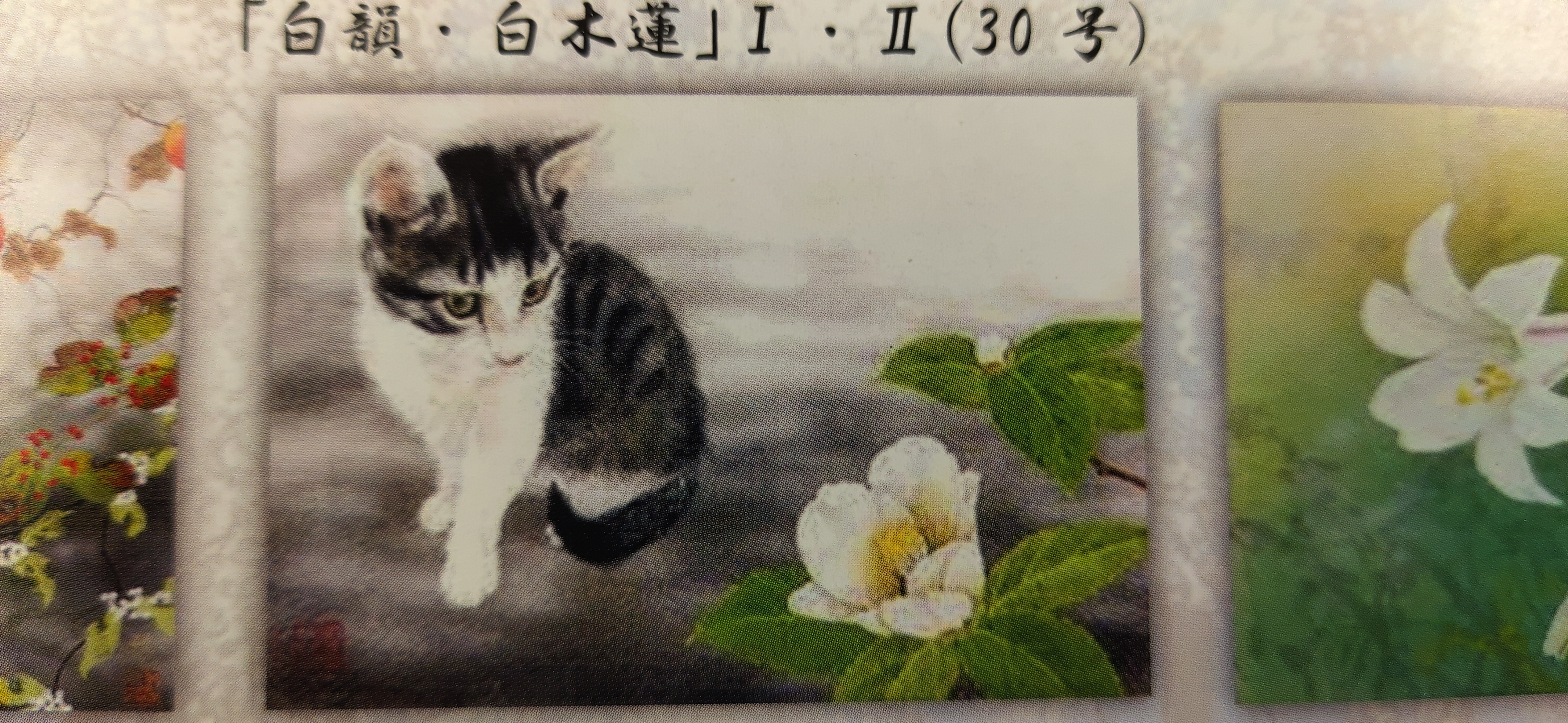 佐々木経二先生の紹介。 | ふりそでstudioきものいろあそび